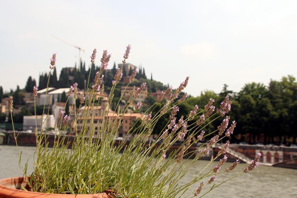 Bed and Breakfast Sottoriva36 Verona Exterior foto